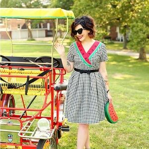 NWOT Vintage ModCloth watermelon picnic dress 🍉